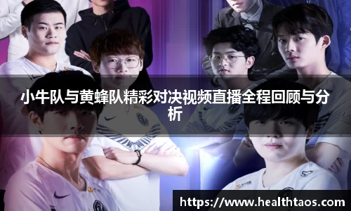 小牛队与黄蜂队精彩对决视频直播全程回顾与分析